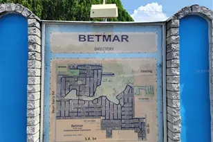 5446 Joyce St, Zephyrhills, FL 33542 - Photo 43