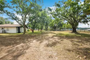 36601 Roberts Rd, Dade City, FL 33525 - Photo 77