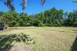 101 N Taylor Rd, Seffner, FL 33584 - Photo 13