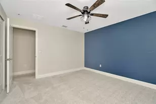 28516 Tranquil Lake Cir, Wesley Chapel, FL 33543 - Photo 21