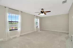 28516 Tranquil Lake Cir, Wesley Chapel, FL 33543 - Photo 29