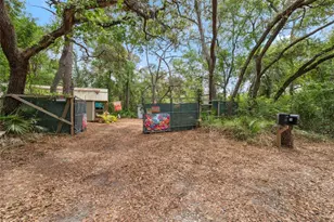 10502 Atlee St, New Port Richey, FL 34654 - Photo 39