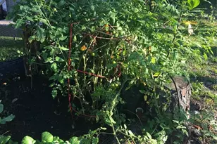 10502 Atlee St, New Port Richey, FL 34654 - Photo 33