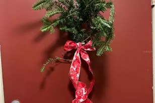 1799 N Highland Ave, Clearwater, FL 33755 - Photo 3