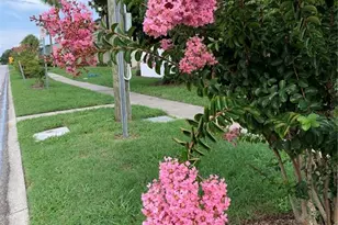 1799 N Highland Ave, Clearwater, FL 33755 - Photo 13