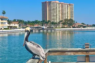 4900 Brittany Dr S, Saint Petersburg, FL 33715 - Photo 45