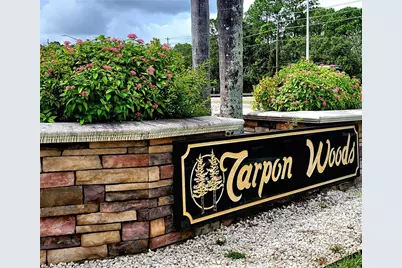 3529 Tanglewood Trail, Palm Harbor, FL 34685 - Photo 53