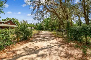 19708 Bower Rd, Dade City, FL 33523 - Photo 77