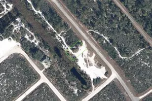 526 Wildflower St, Lake Placid, FL 33852 - Photo 1