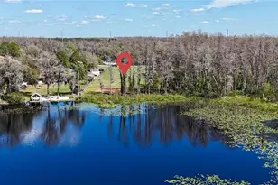 Auralee Acres Lot 3 Blount Rd, Lutz, FL 33558 - Photo 1