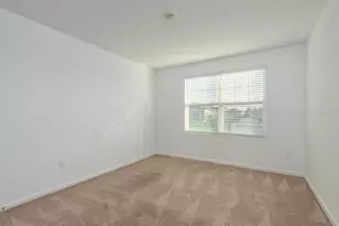 34847 Daisy Meadow Loop, Zephyrhills, FL 33541 - Photo 23