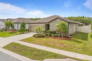 19041 Alfaro Loop, Spring Hill, FL 34610 - Photo 21