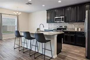 19041 Alfaro Loop, Spring Hill, FL 34610 - Photo 5