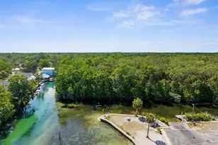 5421 Gay St, Weeki Wachee, FL 34607 - Photo 49