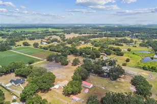 1202 Williams Rd, Plant City, FL 33565 - Photo 65