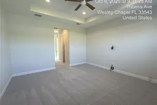 32249 Tribeca Ave, Wesley Chapel, FL 33543 - Photo 33