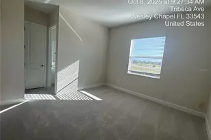 32249 Tribeca Ave, Wesley Chapel, FL 33543 - Photo 23