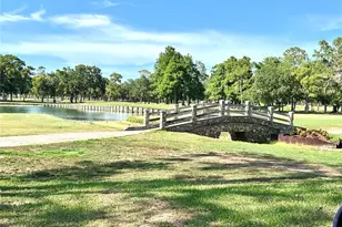 36750 US 19 Hwy N, Palm Harbor, FL 34684 - Photo 41