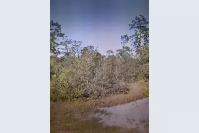 6871 Fort Myers Drive, Indian Lake Estates, FL 33855 - Photo 7