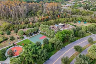 16101 Cape Coral Dr, Wimauma, FL 33598 - Photo 99