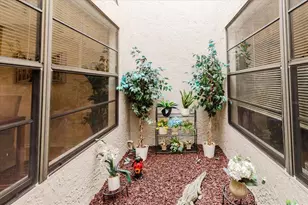 4032 Salem Square Ct, Palm Harbor, FL 34685 - Photo 23