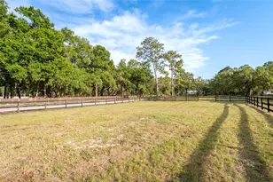 12311 Oakwood Dr, Hudson, FL 34669 - Photo 73