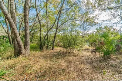 12102 Parkwood St, Hudson, FL 34669 - Photo 7