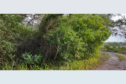 63 N Sheltering Oaks Drive, Inverness, FL 34453 - Photo 19