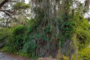 63 N Sheltering Oaks Dr, Inverness, FL 34453 - Photo 1