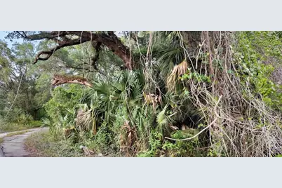 63 N Sheltering Oaks Drive, Inverness, FL 34453 - Photo 21