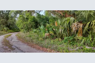 63 N Sheltering Oaks Drive, Inverness, FL 34453 - Photo 3