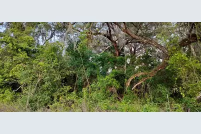 63 N Sheltering Oaks Drive, Inverness, FL 34453 - Photo 11