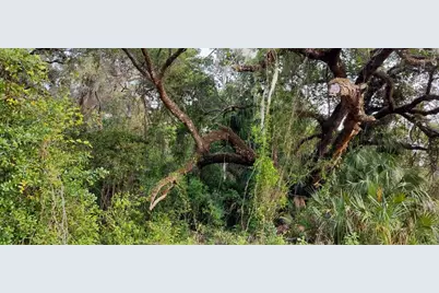 63 N Sheltering Oaks Drive, Inverness, FL 34453 - Photo 7