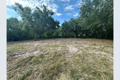 Steel Dust Ln, Lutz, FL 33559 - Photo 5
