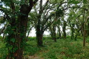 888 Forest Glen Rd, Clearwater, FL 33765 - Photo 57