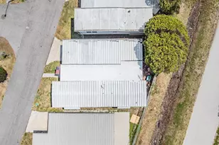 605 Michigan Blvd, Dunedin, FL 34698 - Photo 17