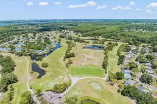 3727 Janus Way, Palm Harbor, FL 34685 - Photo 91