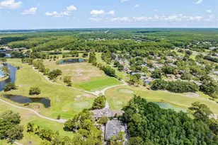 3727 Janus Way, Palm Harbor, FL 34685 - Photo 89