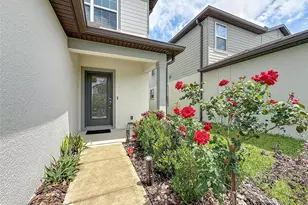 9324 Rally Spring Loop, Wesley Chapel, FL 33545 - Photo 7