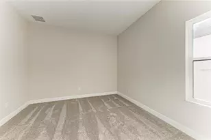 4630 Cedar Fog Ct Dr, Valrico, FL 33596 - Photo 23