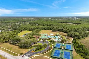 19156 Dove Creek Dr, Tampa, FL 33647 - Photo 73