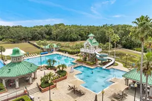 19156 Dove Creek Dr, Tampa, FL 33647 - Photo 83