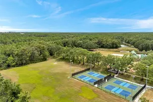 19156 Dove Creek Dr, Tampa, FL 33647 - Photo 67