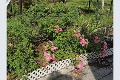 115 Marjorie Avenue, Auburndale, FL 33823 - Photo 3