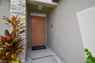 13603 Wild Ginger St, Riverview, FL 33579 - Photo 3