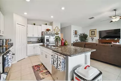 13603 Wild Ginger Street, Riverview, FL 33579 - Photo 9