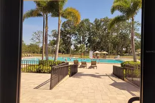 946 Madrid Dr, Palm Harbor, FL 34684 - Photo 19