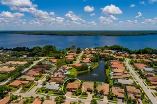 4611 Grand Preserve Pl, Palm Harbor, FL 34684 - Photo 59