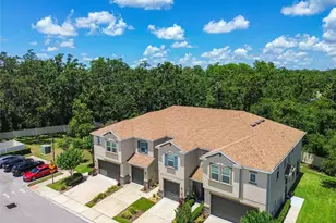 6745 Citrus Creek Ln, Tampa, FL 33625 - Photo 51