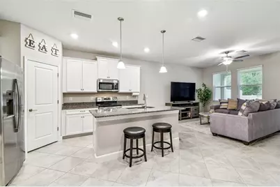 6745 Citrus Creek Lane, Tampa, FL 33625 - Photo 5